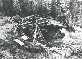 Imagen: Cabaña de los Likov. DailyMail